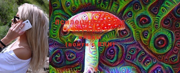 марки lsd Абаза