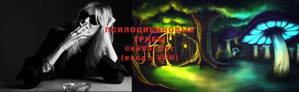 амф Абдулино
