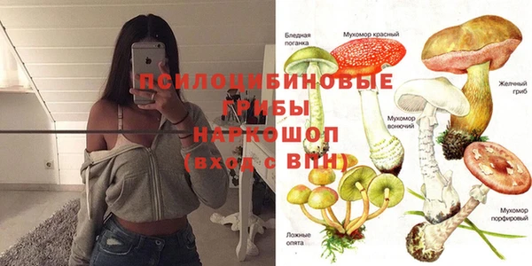 марки lsd Абаза