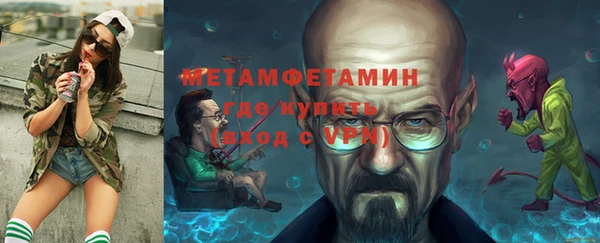 прущие грибы Нея