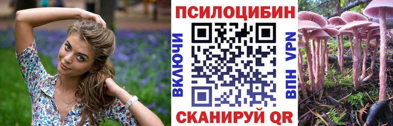 Псилоцибиновые грибы Psilocybe  Юрюзань 
